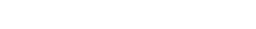 WILDSTYLE NETWORK logo