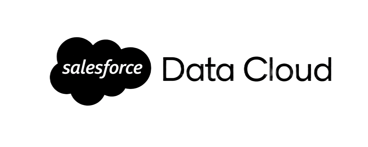 Salesforce Data Cloud
