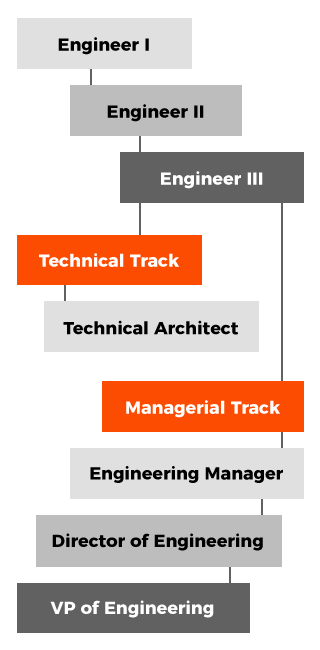 career-ladder-polished