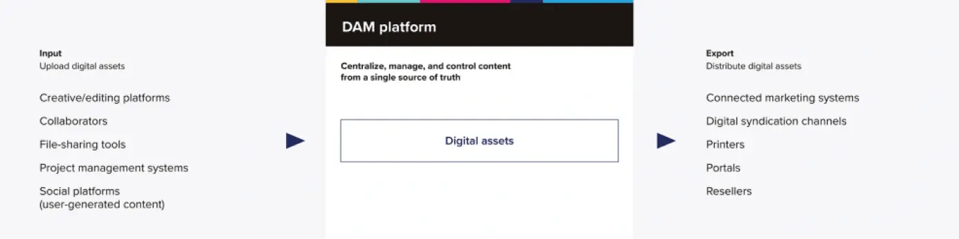 How does Acquia DAM work?